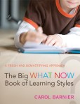 The Big What Now Book